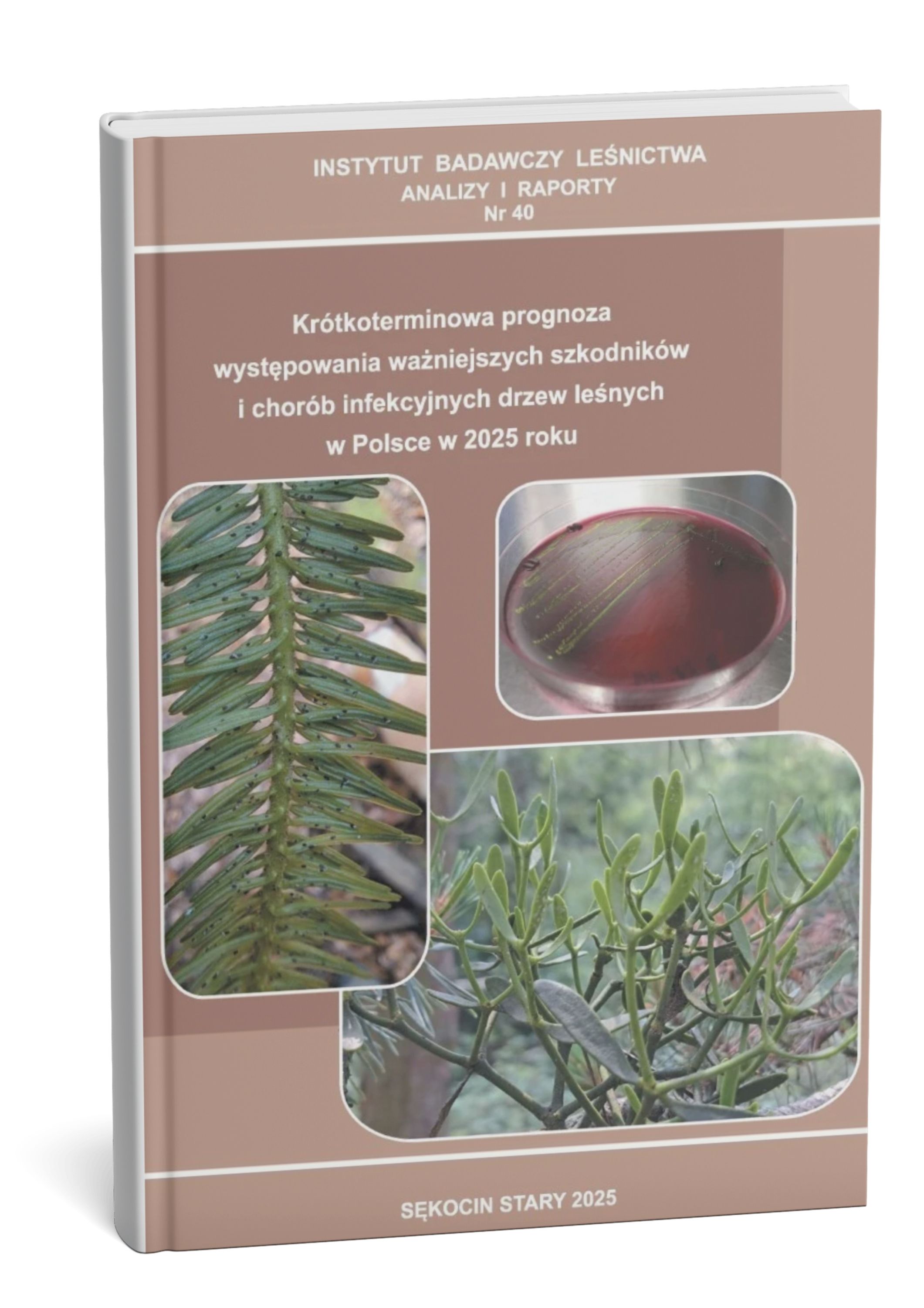 Aktualizacja LNP